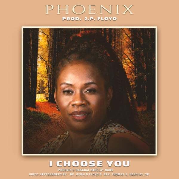 Cover art for I Choose You